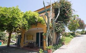 B&B La Casa Dei Gelsi